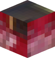 JohnCMojang