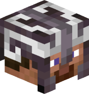 Skycron_Veil_x9s