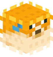 top_domen