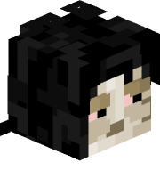 AP8_Alex
