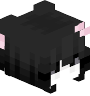 c0kw