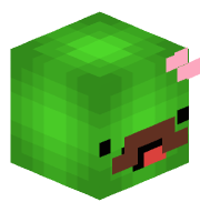 AuraTurtle