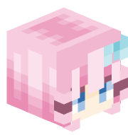 PVPIRS