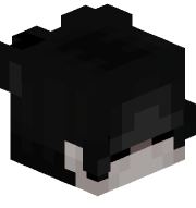 Aeroizer_