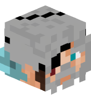 Cpudds
