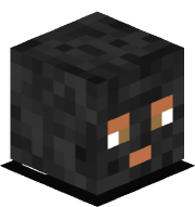 bauti723777