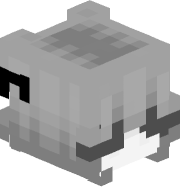 zome1