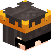 SonicShwen