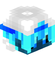 Joelzari14