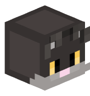 CatIsFound