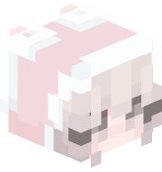 Islamginmoo_6969