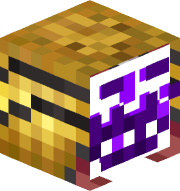dnnyxyz