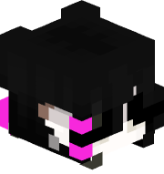 Xcle
