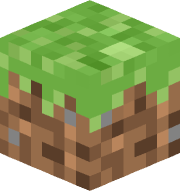 Kiwi281