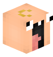 smt_danny