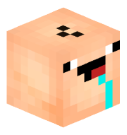 wiattfv13