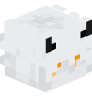 Turtle0636