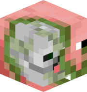 LizzyTorg