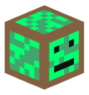 IKiwi16