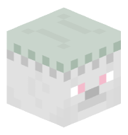 SkinSeam