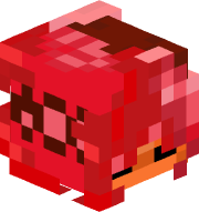 Wuality