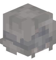 Shielddy