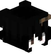 i551