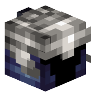 Zxpecstar