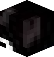 dwwwwwwwwwaaa