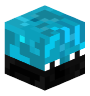 D1CCE