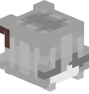 Cilfer