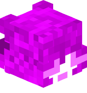 Poplupp