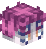wxlo23