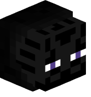 T0TSH0T