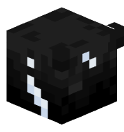 F4ncyc4sh