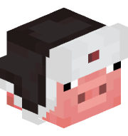 Nicolas_Canada