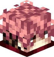 VYUji