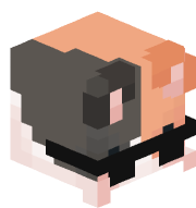 RaiTheCat