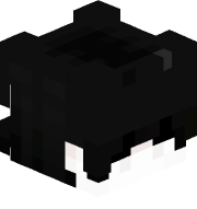 zRenzo24