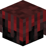 codyvr145