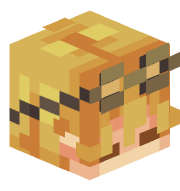 An image of the person's Minecraft head provided by mc-heads.net