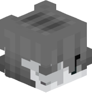 EvanMac6901