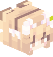 lustrebustre