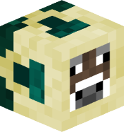 matmoomate