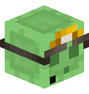 boarX