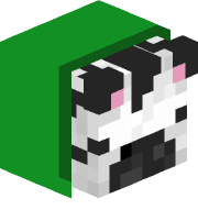 ZebraCount1