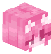 Rico5587