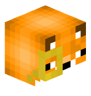 BachCam