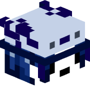 Sey__
