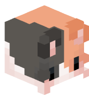 MrBrawler